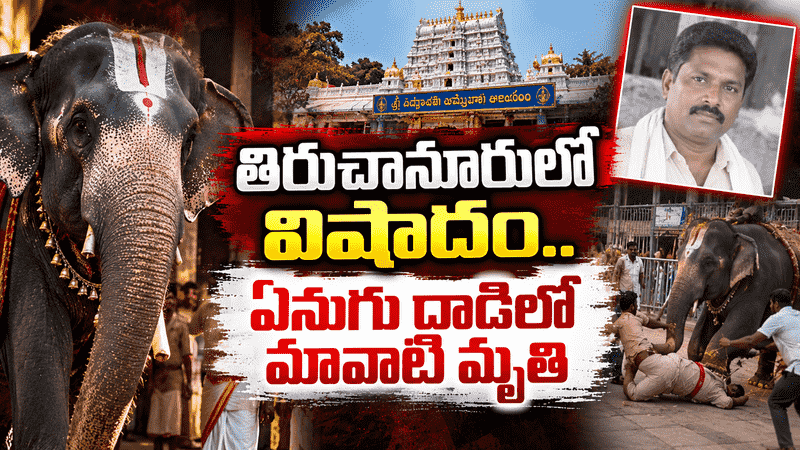 తిరుచానూరులో విషాదం.. చికిత్స పొందుతూ మావాటి కన్నుమూత...